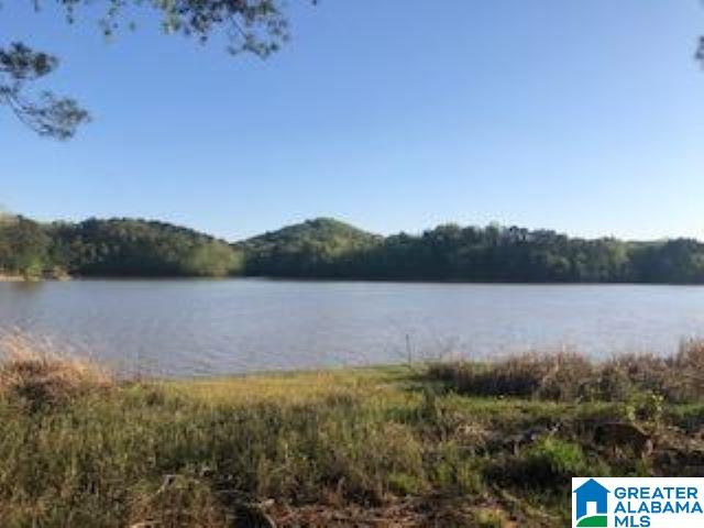 3354 River Ranch Road Ragland, AL 35131 - Photo 3 of 6