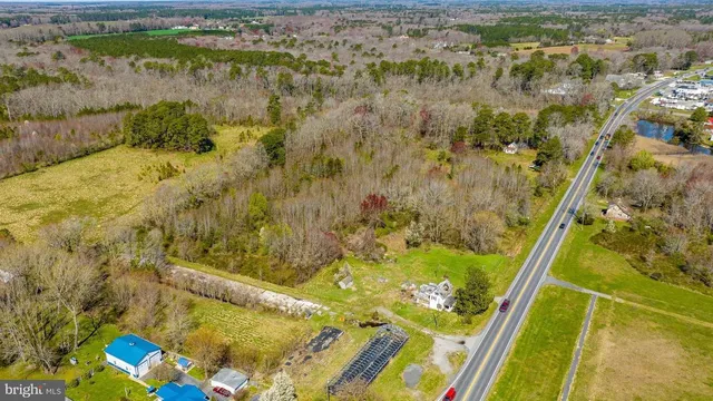 a view of yard with green space