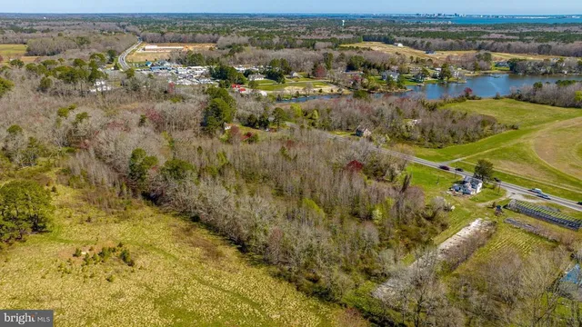 an aerial view of residential houses with outdoor space and trees