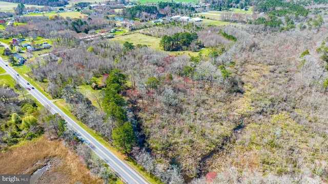 a view of a garden with an umbrella