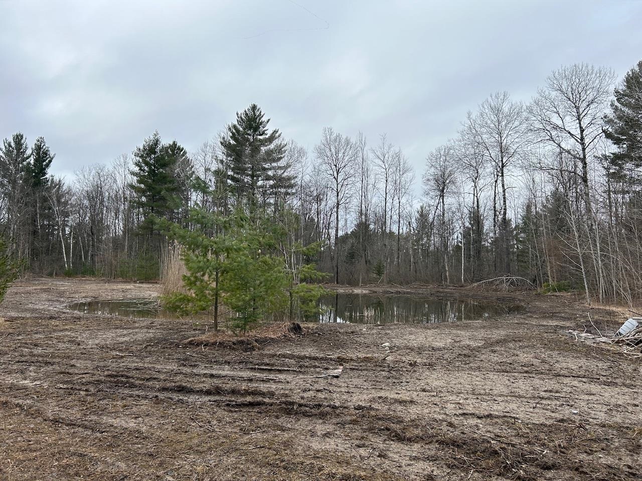 19.2 Acres W M61 Road Gladwin, MI 48624 - Photo 10 of 17