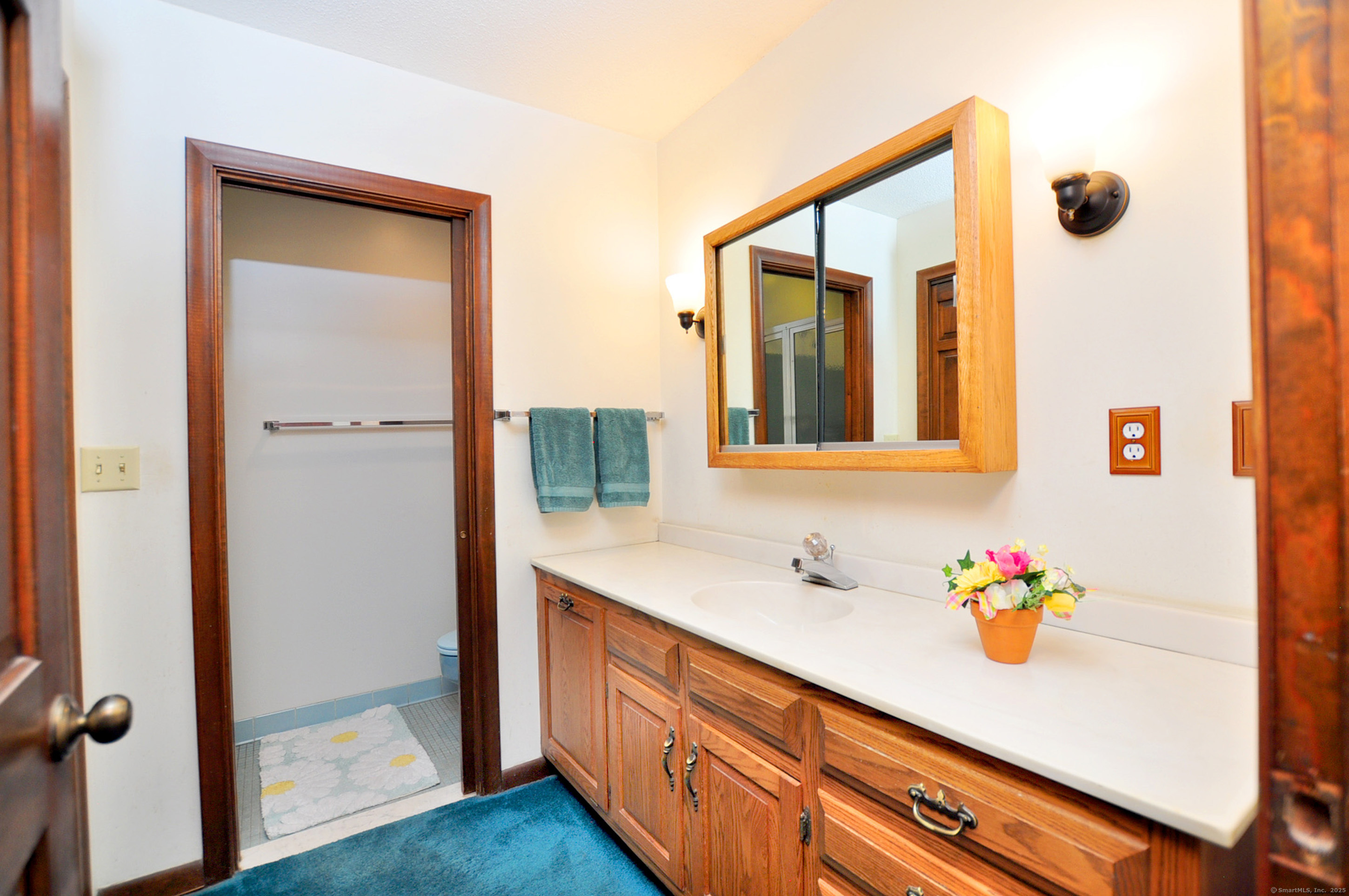 18 Fiano Road Bolton, CT 06043 - Photo 31 of 38 a bathroom with a sink and a mirror