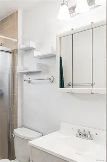 a bathroom with a sink and a toilet