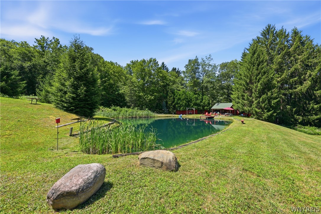 7902 Back Creek Road Boston, NY 14075 - Photo 32 of 47 Gallery Image 32