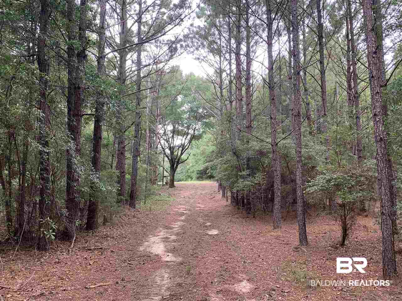 1178 Dry Lake Road Luverne, AL 36049 - Photo 26 of 50