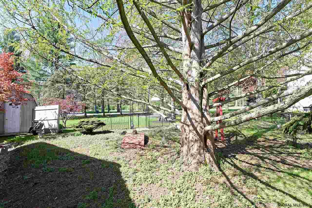 921 Randall Road Niskayuna, NY 12309 - Photo 28 of 33 Photo 28