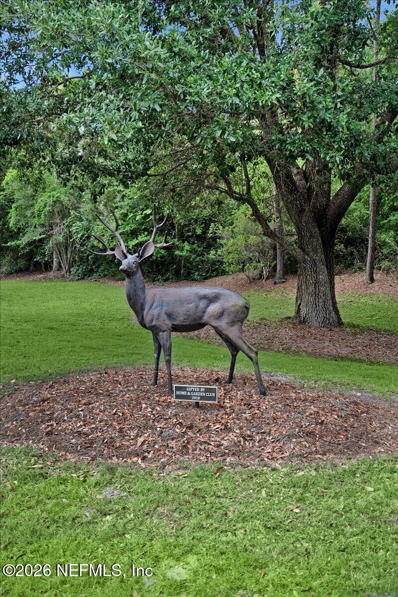 9957 Chelsea Lake Road Jacksonville, FL 32256 - Photo 57 of 73 58-deercreek (34)