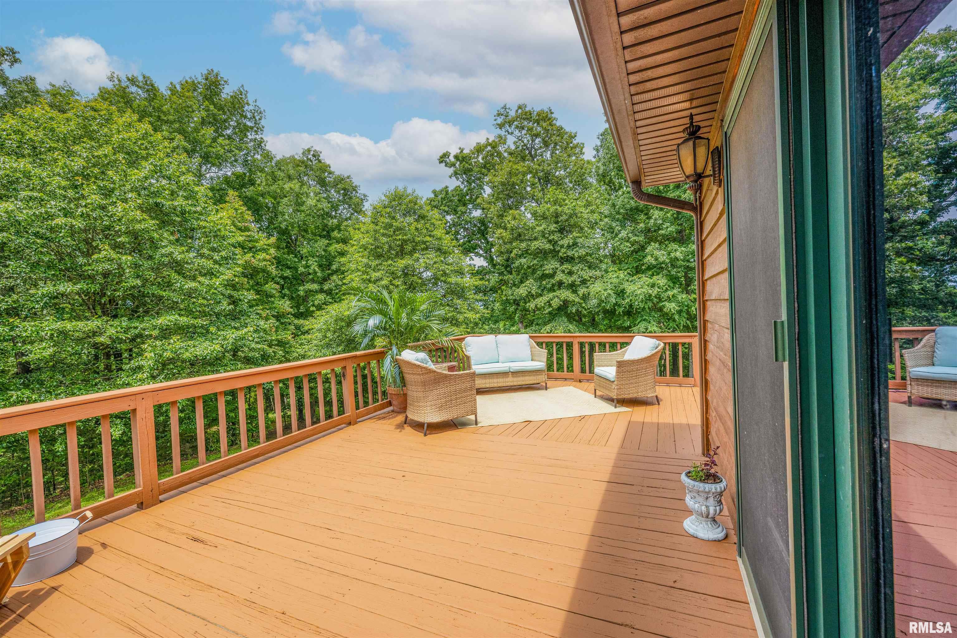 207 Pea Ridge Road Metropolis, IL 62960 - Photo 4 of 54