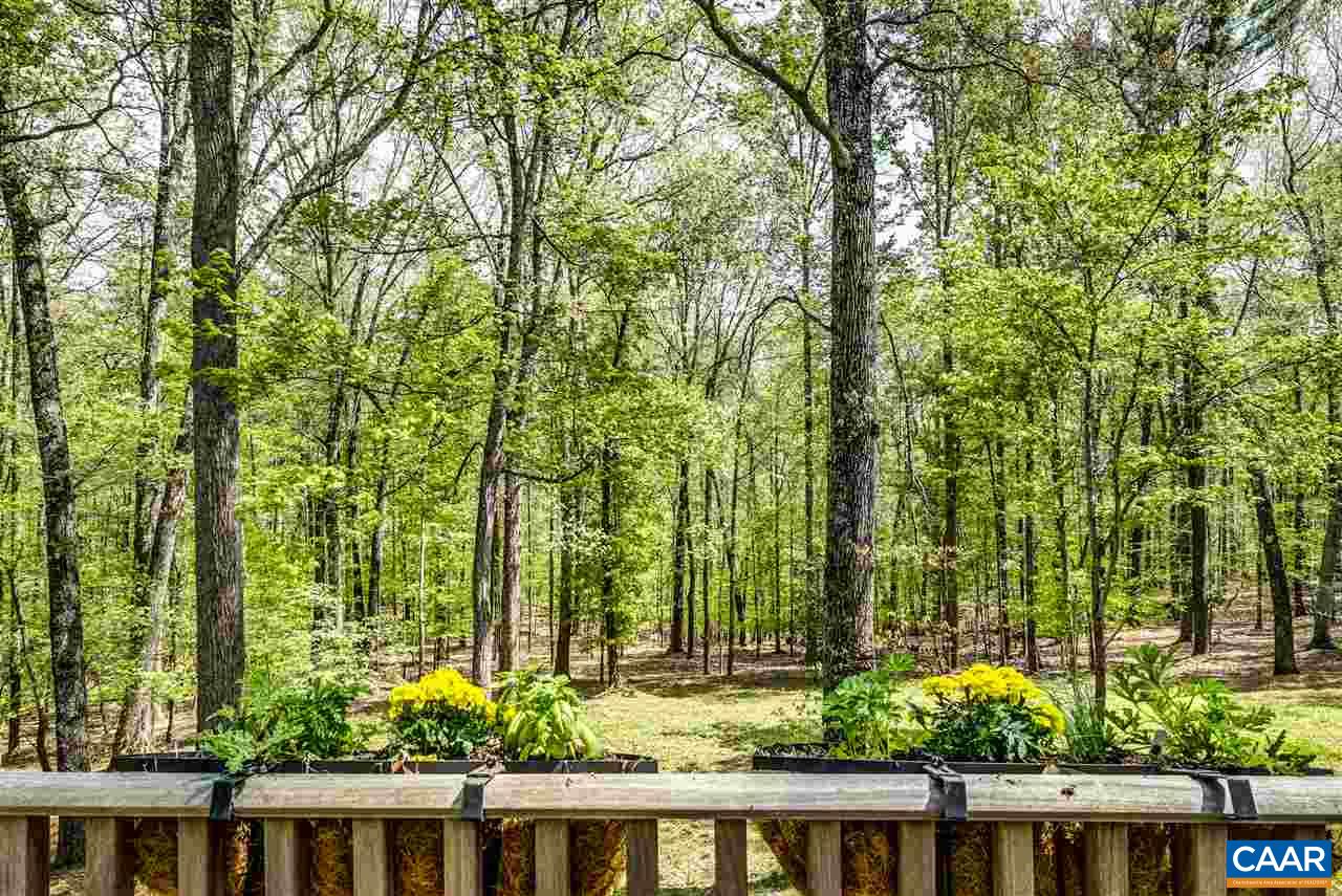 2845 Ridge Road Charlottesville, VA 22901 - Photo 14 of 50 a view of a garden with plants and large trees