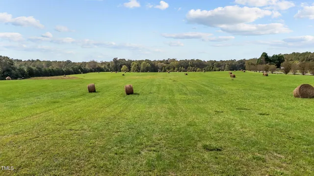 a view of a garden with an outdoor space