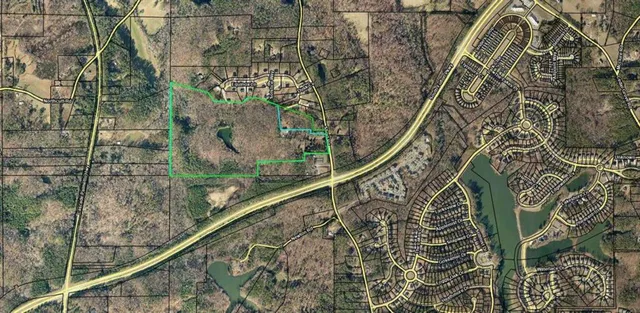 a picture of a bathroom with a tree