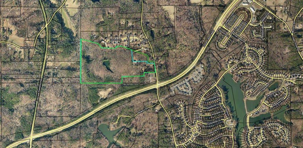 a picture of a bathroom with a tree