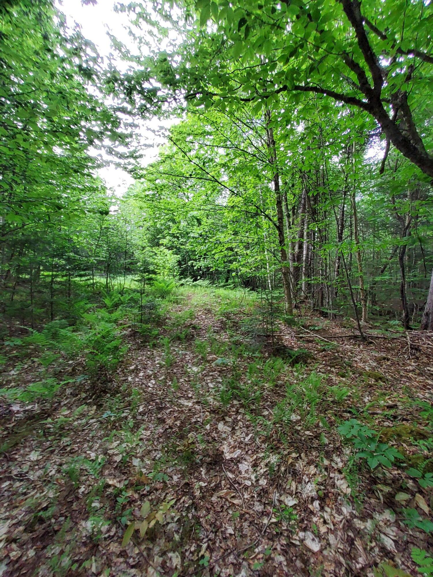 Lot 50 Map 14) Andover, ME 04216 - Photo 6 of 12 20260605_164825