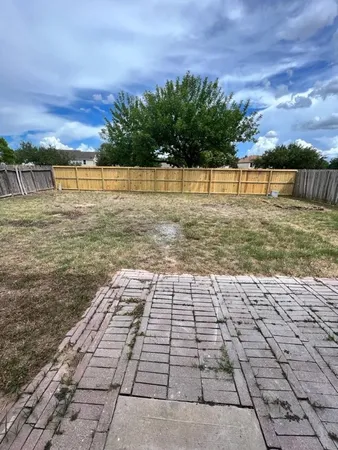 a view of a yard