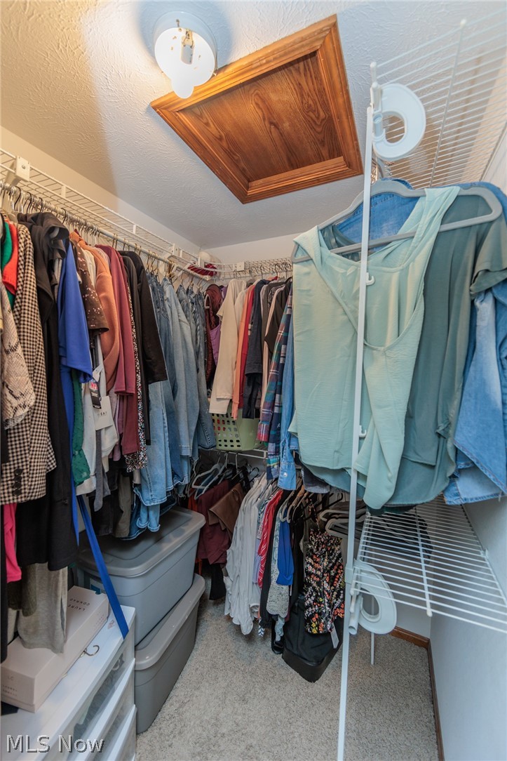 5630 Oak Point Road Lorain, OH 44053 - Photo 20 of 44 Spacious closet featuring carpet