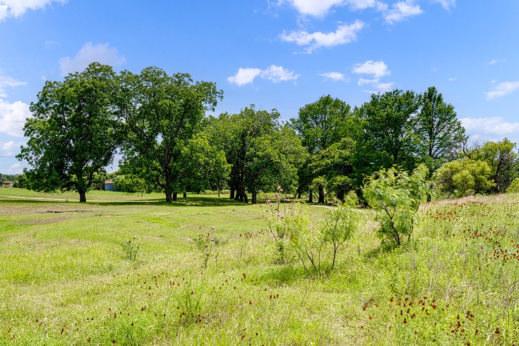 646 Victor Eckhardt Road Fredericksburg, TX 78624 - Photo 42 of 60