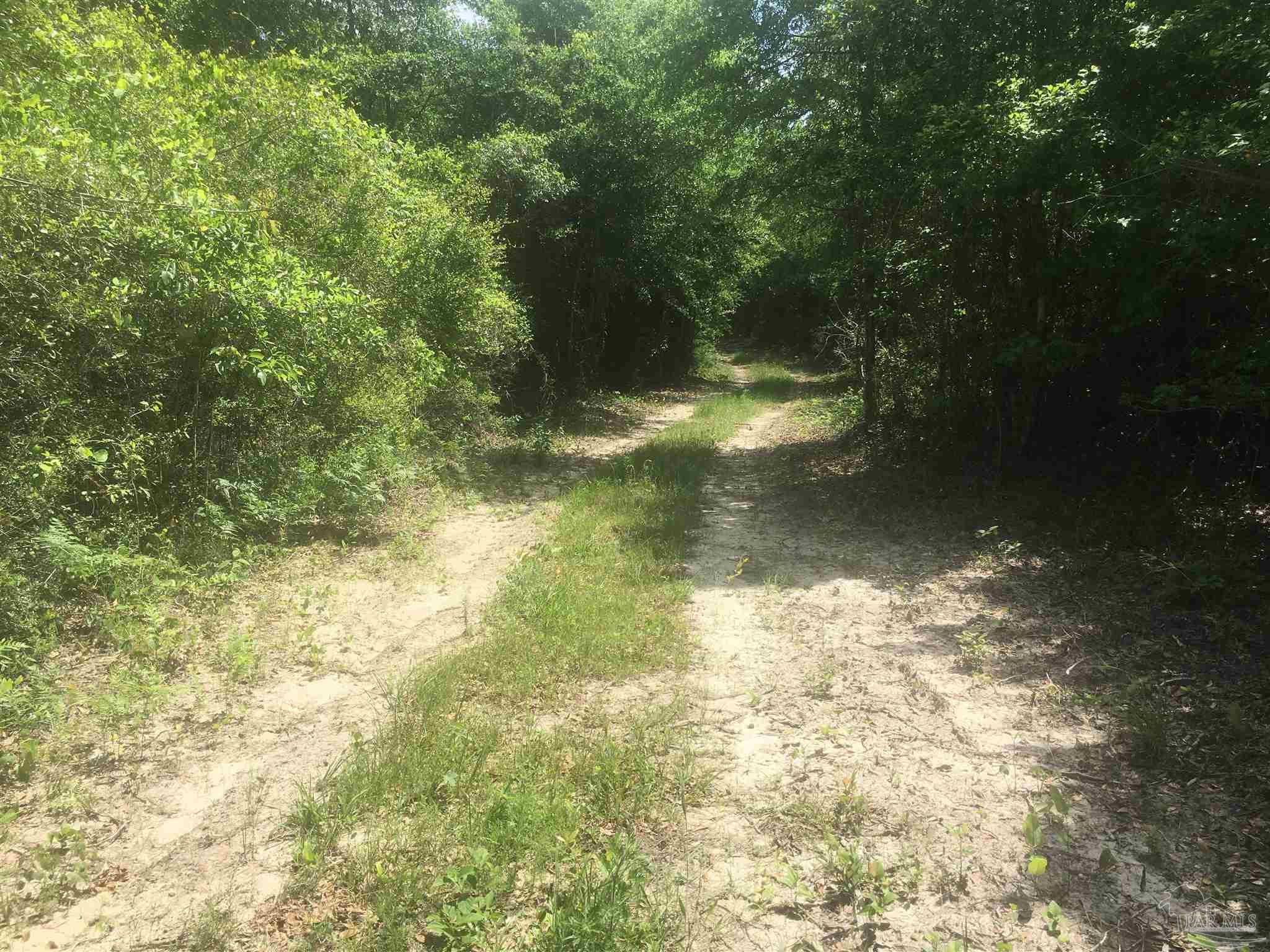 4 A Century Century, FL 32535 - Photo 14 of 20 a view of lake view