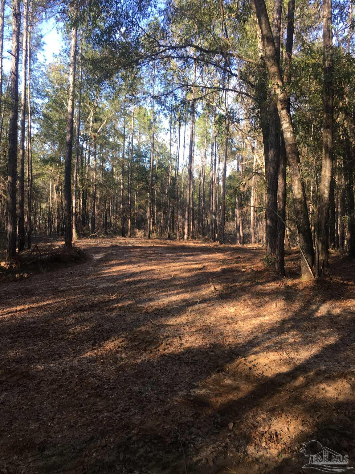 4 A Century Century, FL 32535 - Photo 15 of 20 a front view of a house with a yard and trees