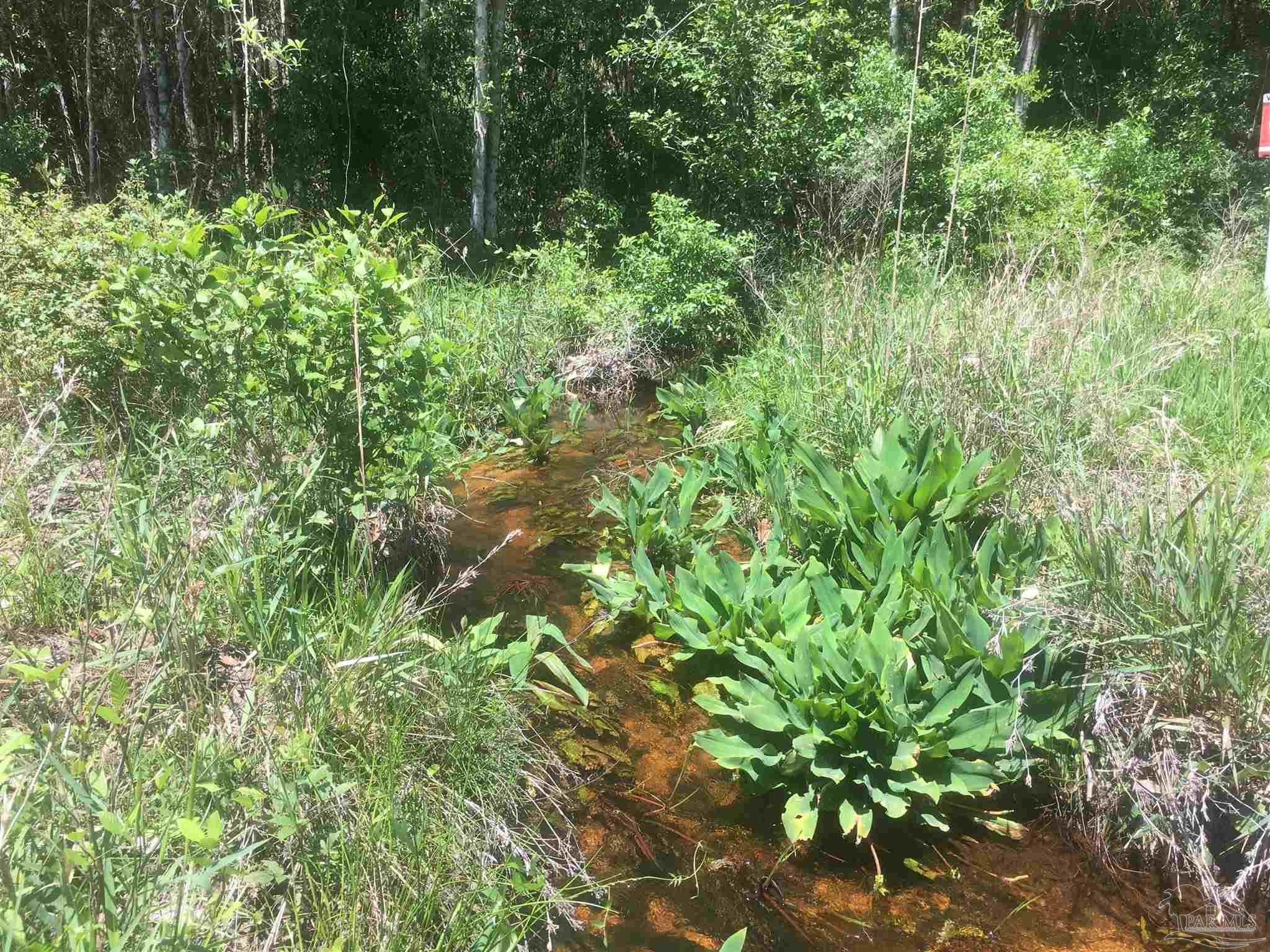 4 A Century Century, FL 32535 - Photo 7 of 20 a backyard of a house with lots of green space and trees all around