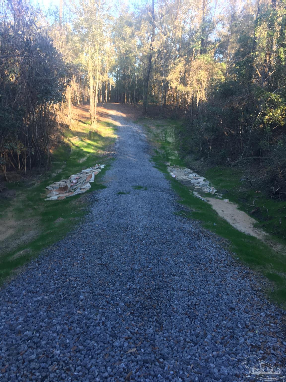 4 A Century Century, FL 32535 - Photo 9 of 20 a view of a yard with plants and large trees