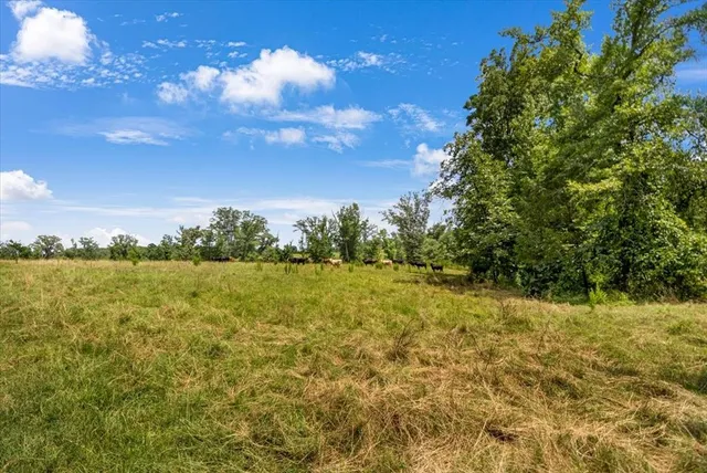 $1,484,900 | 15136 Farm To Market Road 852, Gilmer, TX 75644