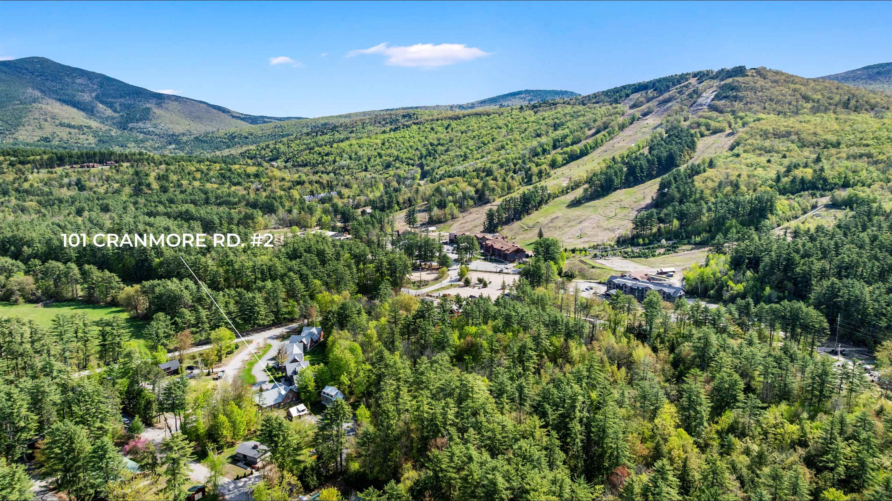 101 Cranmore Road, Unit 2 Conway, NH 03860 - Photo 2 of 48