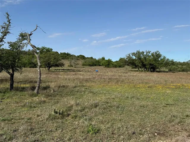 a view of a field with a tree in the background