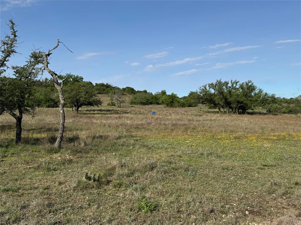 21 Indian Spring Hamilton, TX 76531 - Photo 12 of 19 a view of a field with a tree in the background