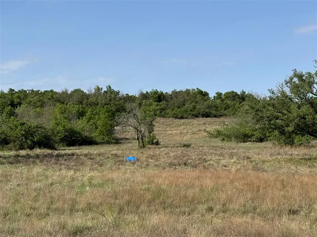 a view of a field with trees in background