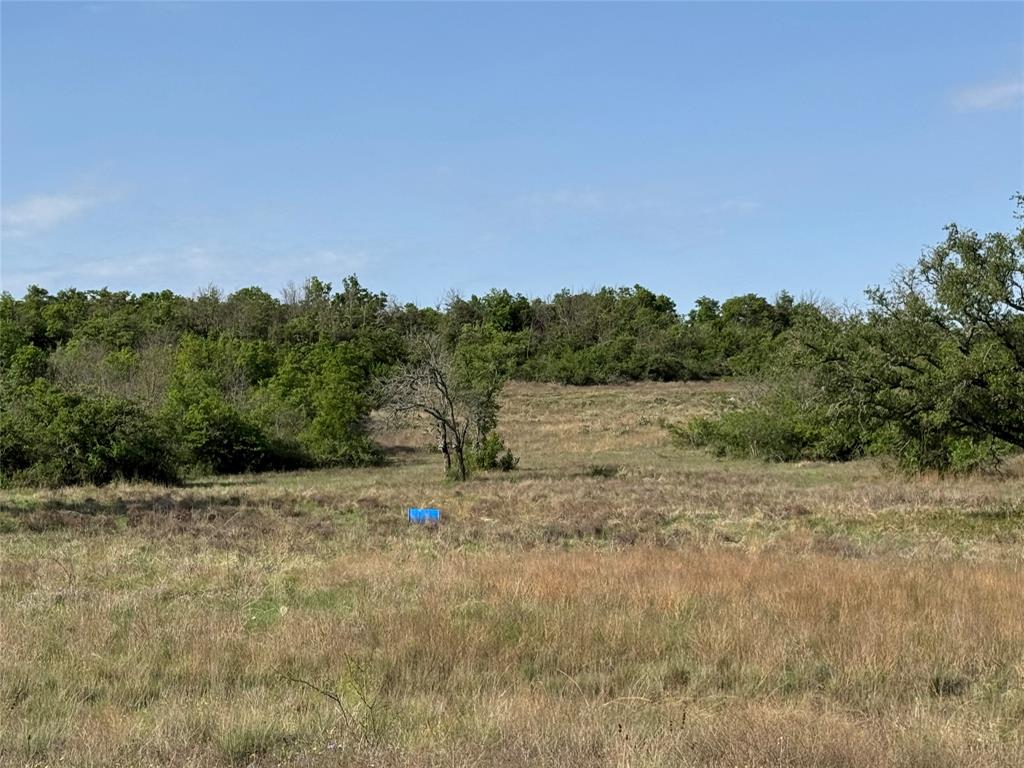 21 Indian Spring Hamilton, TX 76531 - Photo 14 of 19 a view of a field with trees in background