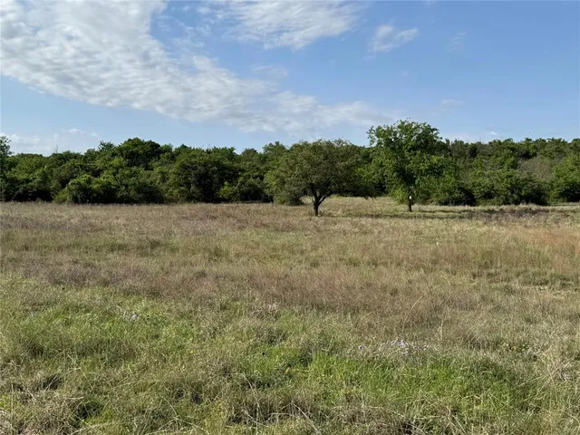 a view of some trees in a field