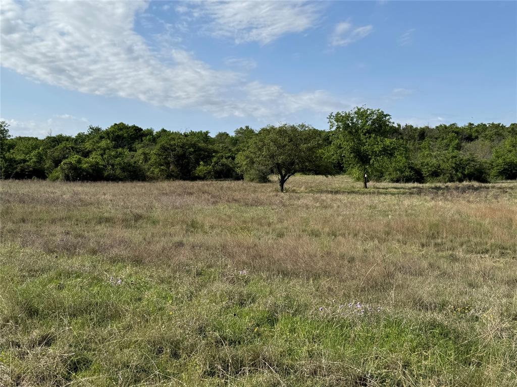 21 Indian Spring Hamilton, TX 76531 - Photo 16 of 19