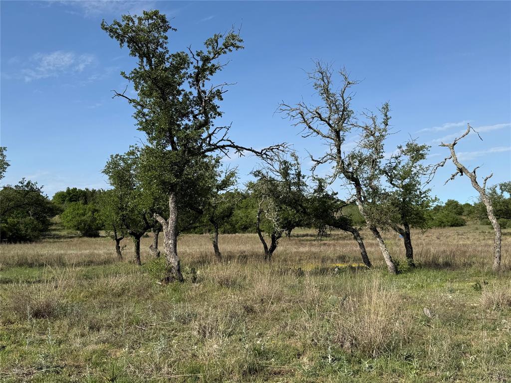 21 Indian Spring Hamilton, TX 76531 - Photo 17 of 19 a view of some trees in a field