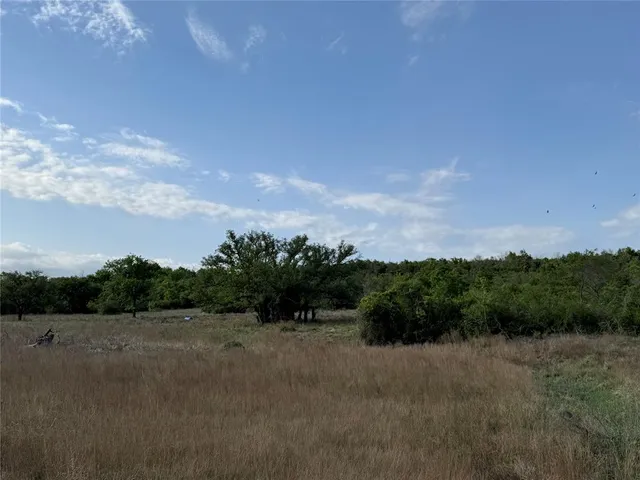 a view of a field and trees