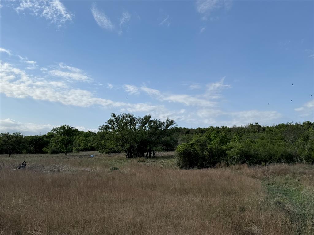 21 Indian Spring Hamilton, TX 76531 - Photo 4 of 19 a view of a field and trees