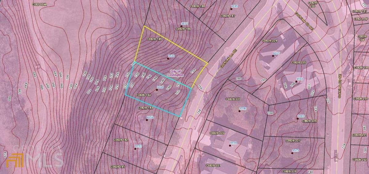 9171 Golfview Lane Covington, GA 30014 - Photo 1 of 1 a view of a pathway with a yard