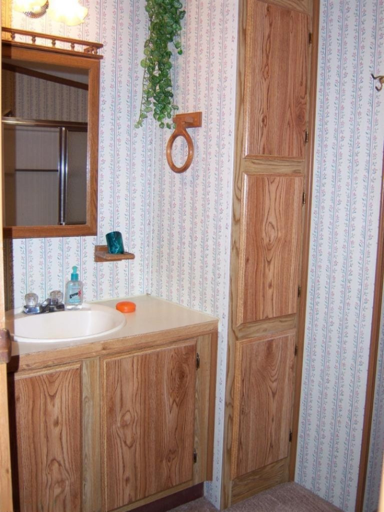 78 Lakeside Drive Stanton, MI 48888 - Photo 13 of 19 Additional Photo