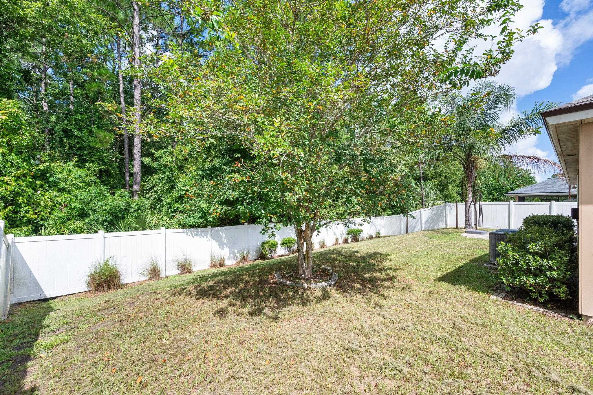 509 Deer Crossing Road St. Augustine, FL 32086 - Photo 41 of 54 a view of a yard with plants and trees