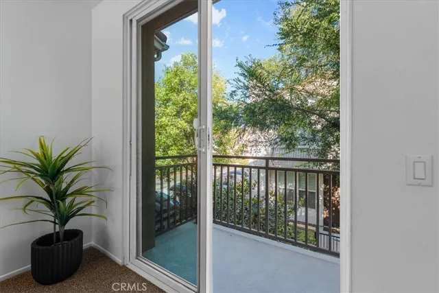 a view of a potted plant in front of a window