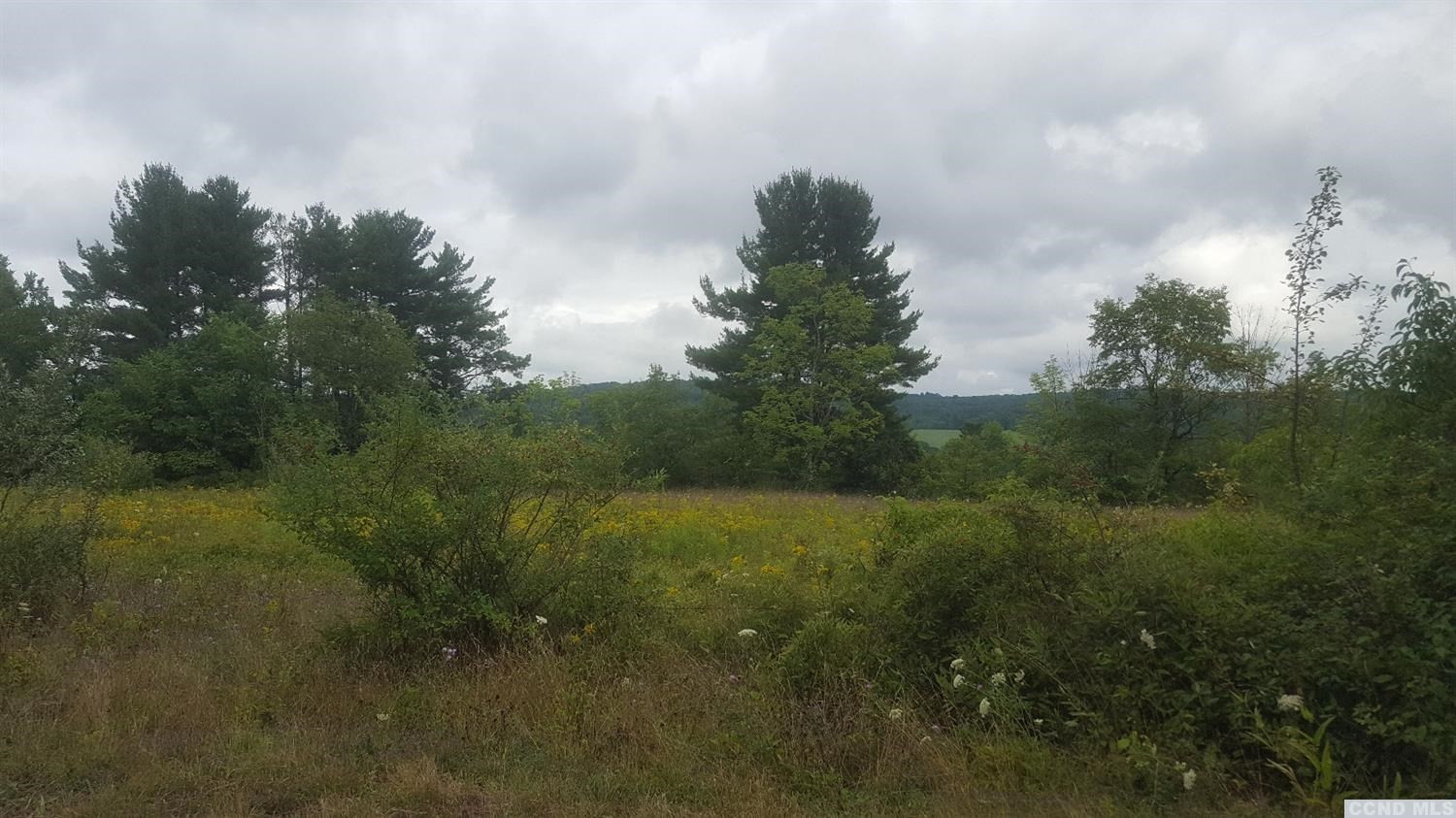 0 Saybrook Hill Road Durham, NY 12460 - Photo 3 of 4 Photo 3