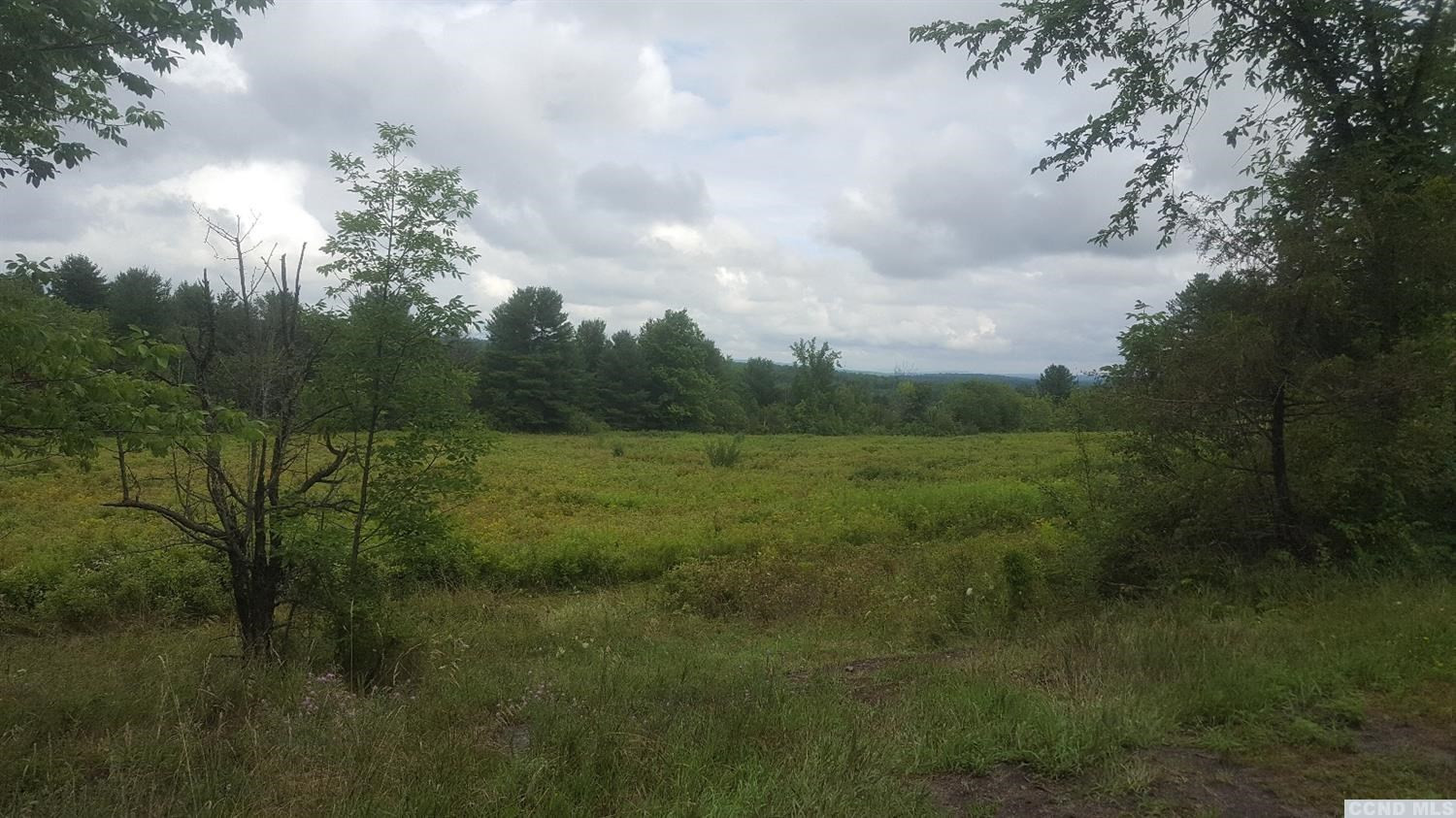 0 Saybrook Hill Road Durham, NY 12460 - Photo 4 of 4 Photo 4