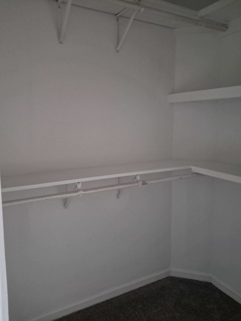 303 North Division Street Braidwood, IL 60408 - Photo 16 of 20 a view of an empty walk in closet