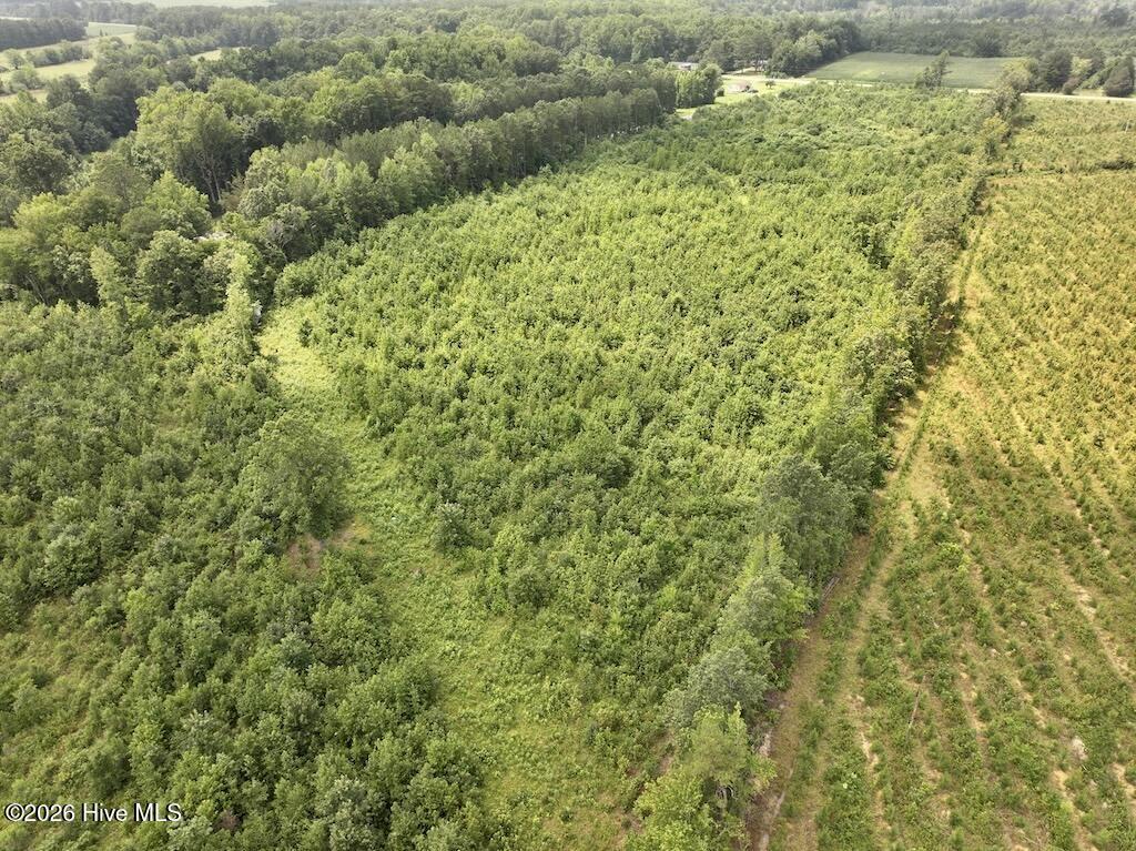 15 Rainbow Road Halifax, NC 27839 - Photo 11 of 23
