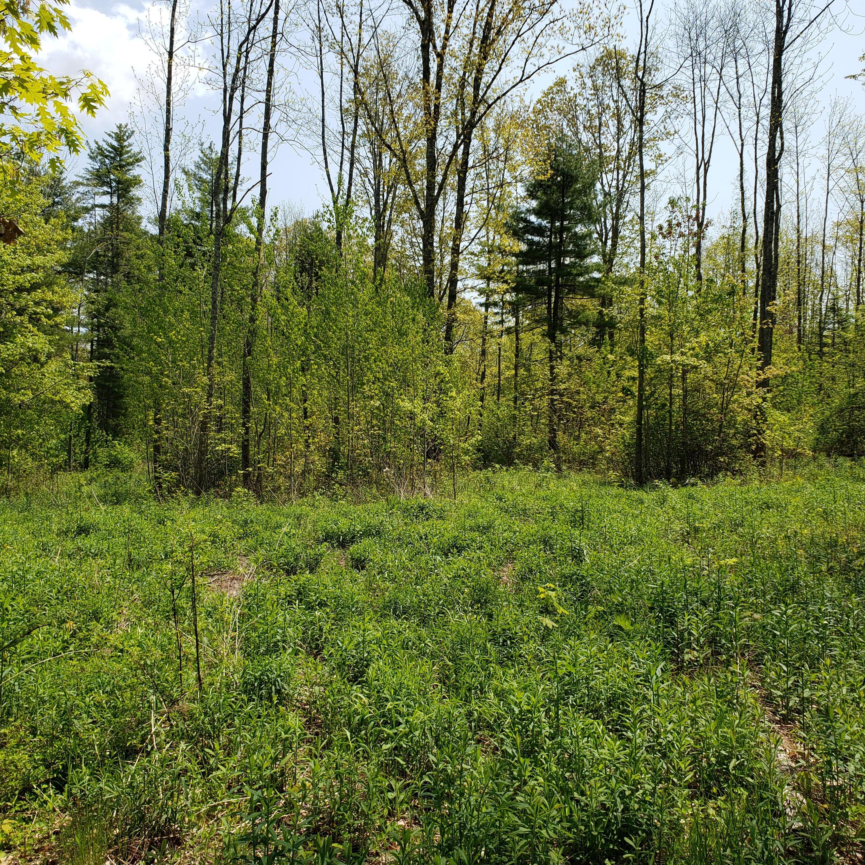 200 Ralph Wink Road Waldoboro, ME 04572 - Photo 12 of 19 20190603_120622