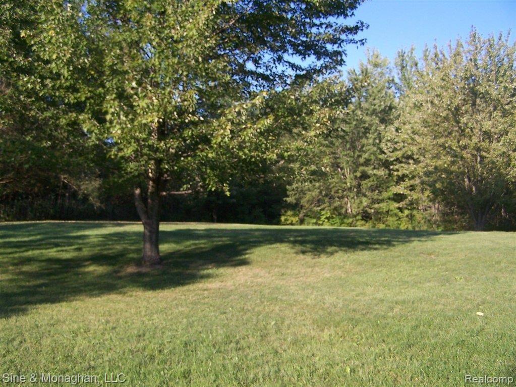4811 Palms Road Casco, MI 48064 - Photo 18 of 23 100_8217 - Copy.JPG