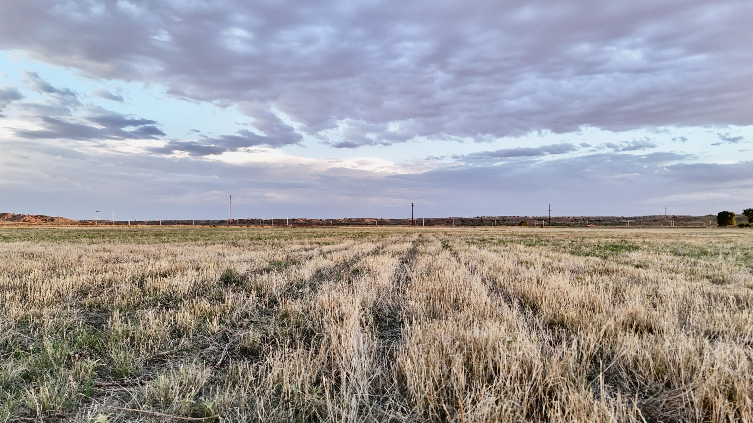 County Road West Vega, TX 79092 - Photo 15 of 20 DJI_20260625205739_0373_D