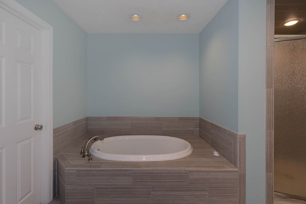 8305 Midland Road Midland, GA 31820 - Photo 23 of 50 GARDEN TUB