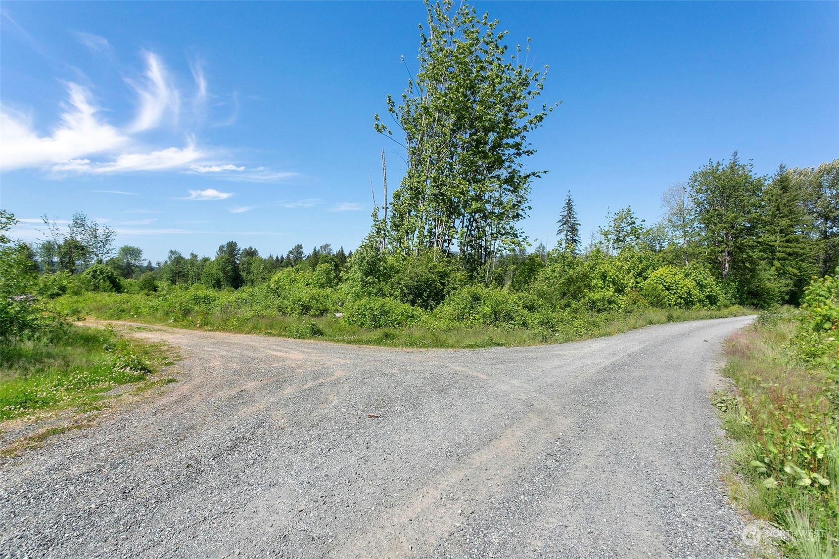 -174xx Pilchuck Tree Farm Road Snohomish, WA 98290 - Photo 4 of 12 Gallery Image 4