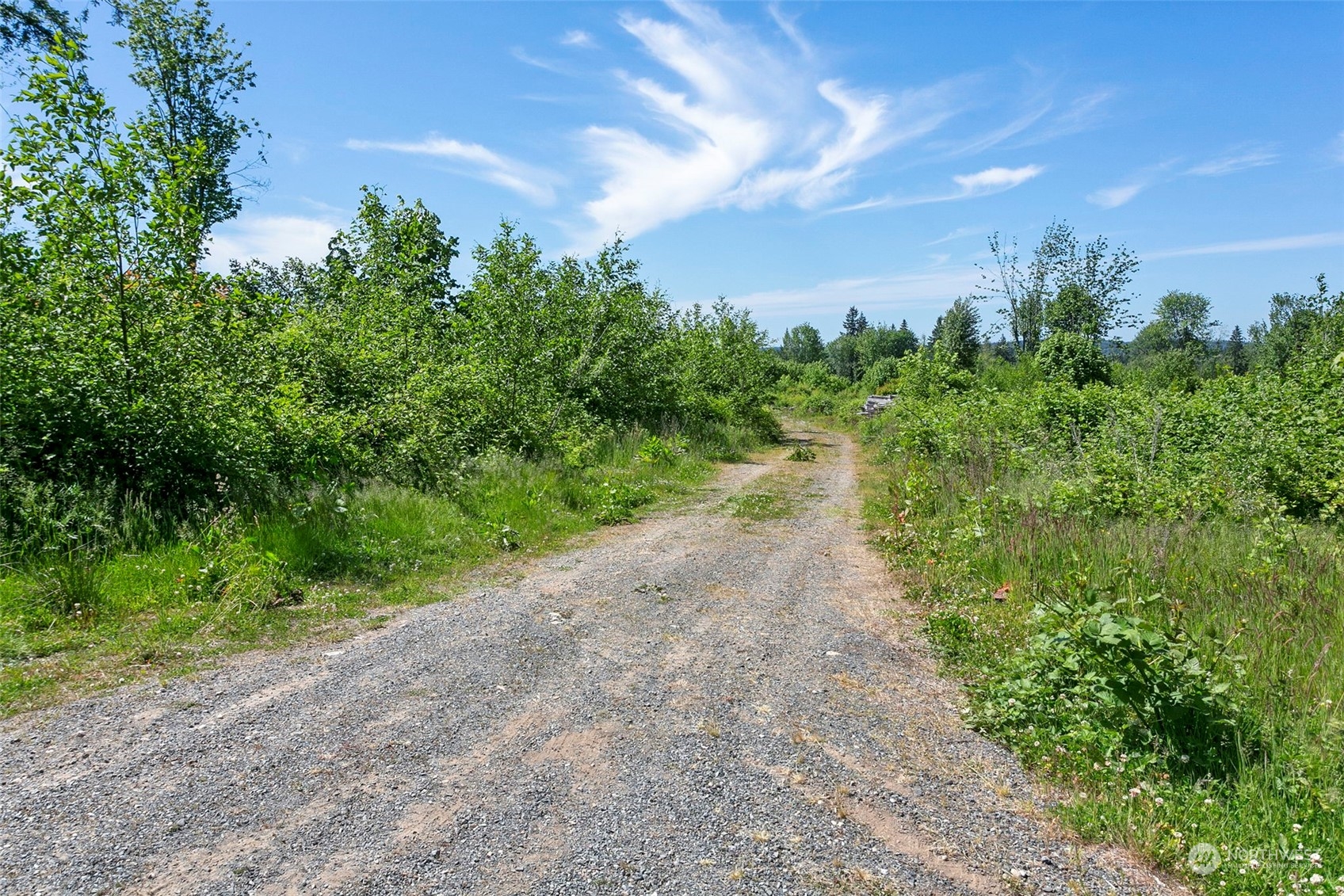 -174xx Pilchuck Tree Farm Road Snohomish, WA 98290 - Photo 5 of 12 Gallery Image 5