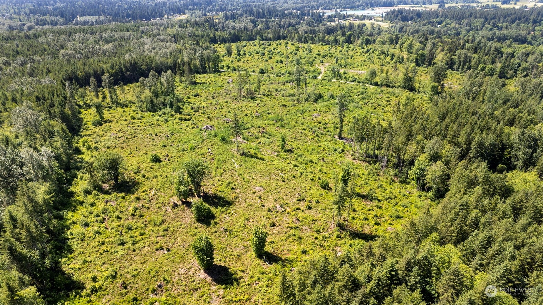 -174xx Pilchuck Tree Farm Road Snohomish, WA 98290 - Photo 6 of 12 Gallery Image 6